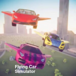 Flying Car Simulator